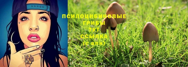 PSILOCYBIN Верхнеуральск